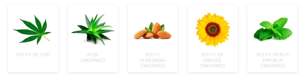 Ingredientes Organics