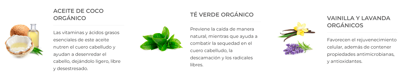 Ingredientes Organics